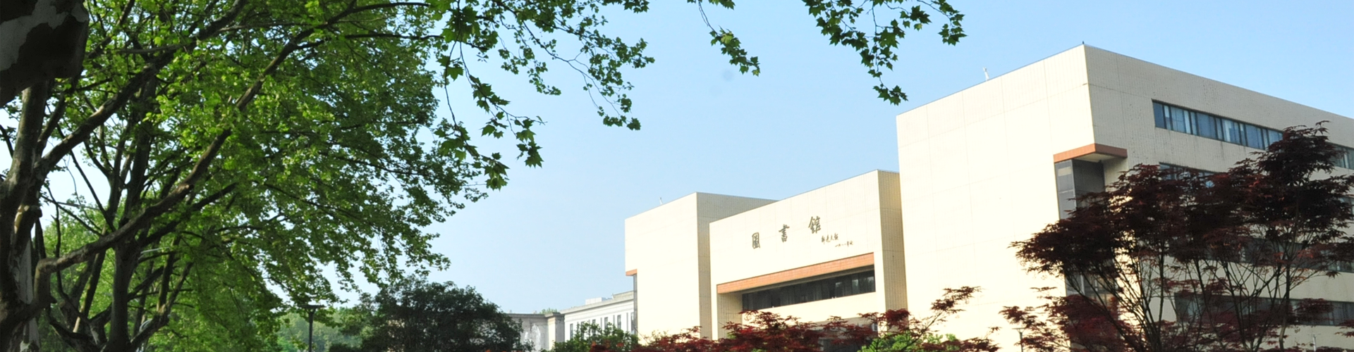 qy球友会